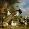 Paon, paon et volaille dans un paysage - Tobias Stranover - Reproductions de tableaux et peintures haut de gamme