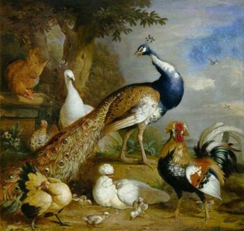 Paon, paon et volaille dans un paysage - Tobias Stranover - Reproductions de tableaux et peintures haut de gamme