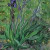 Les iris II - Van Gogh - Reproductions de tableaux et peintures haut de gamme