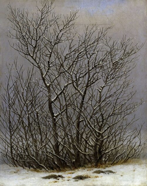 Arbres et arbustes sous la neige - Caspar David Friedrich - Reproductions de tableaux et peintures haut de gamme