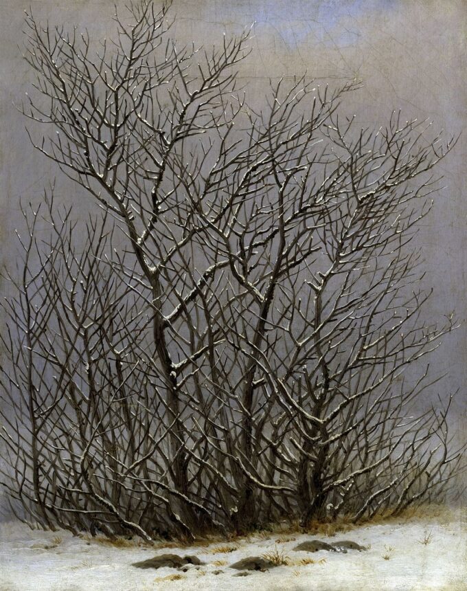 Trees and shrubs under the snow - Caspar David Friedrich