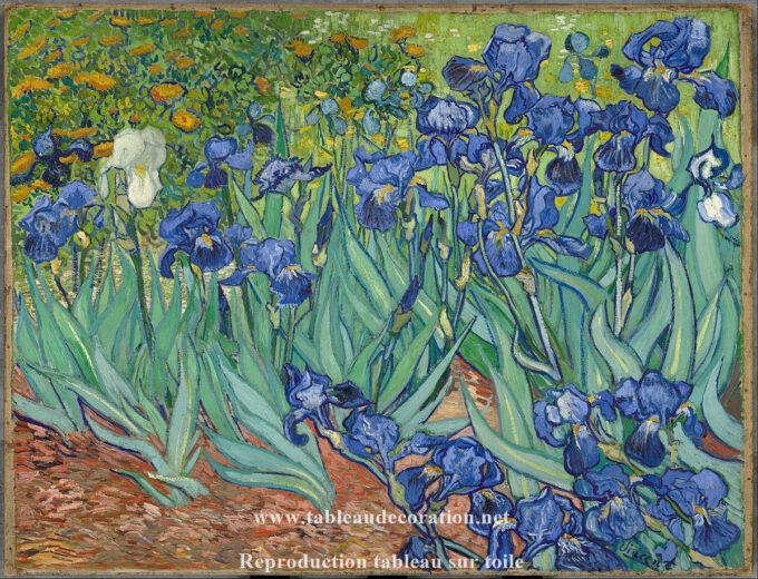 The Irises - Van Gogh