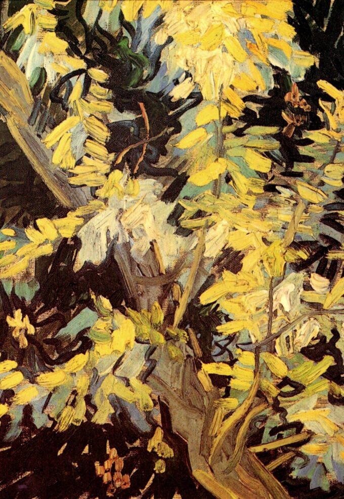 Blooming Acacias - Van Gogh