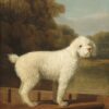 Caniche Blanc dans un Punt - George Stubbs - Reproductions de tableaux et peintures haut de gamme