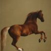 Whistlejacket - George Stubbs - Reproductions de tableaux et peintures haut de gamme