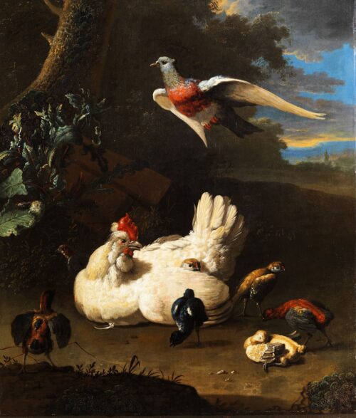 Une poule et ses poussins avec une colombe en vol près d'un arbre - Melchior d'Hondecoeter - Reproductions de tableaux et peintures haut de gamme