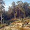 Une forêt de pins. Forêt de mâts dans la province de Viatka - Ivan Shishkin - Reproductions de tableaux et peintures haut de gamme