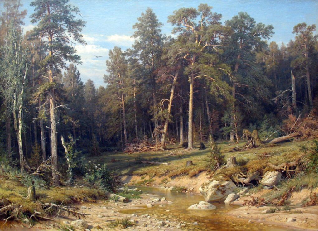 Une forêt de pins. Forêt de mâts dans la province de Viatka - Ivan Shishkin - Reproductions de tableaux et peintures haut de gamme