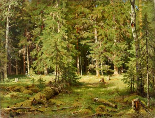 Anagorie de Wald - Ivan Shishkin - Reproductions de tableaux et peintures haut de gamme