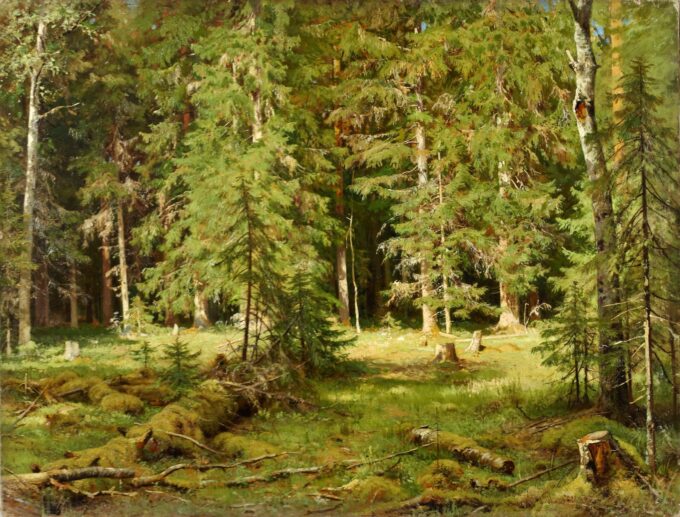 Anagorie de Wald - Ivan Shishkin - Reproductions de tableaux et peintures haut de gamme