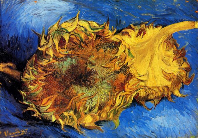 Two Cut Sunflowers - Van Gogh