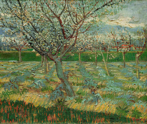 Verger en fleurs - Van Gogh - Reproductions de tableaux et peintures haut de gamme