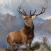 Le Monarque du Glen - Edwin Landseer - Reproductions de tableaux et peintures haut de gamme