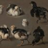 Sept poussins - Melchior d'Hondecoeter - Reproductions de tableaux et peintures haut de gamme