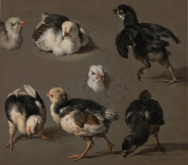 Sept poussins - Melchior d'Hondecoeter - Reproductions de tableaux et peintures haut de gamme