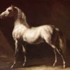 Cheval gris - Théodore Géricault - Reproductions de tableaux et peintures haut de gamme