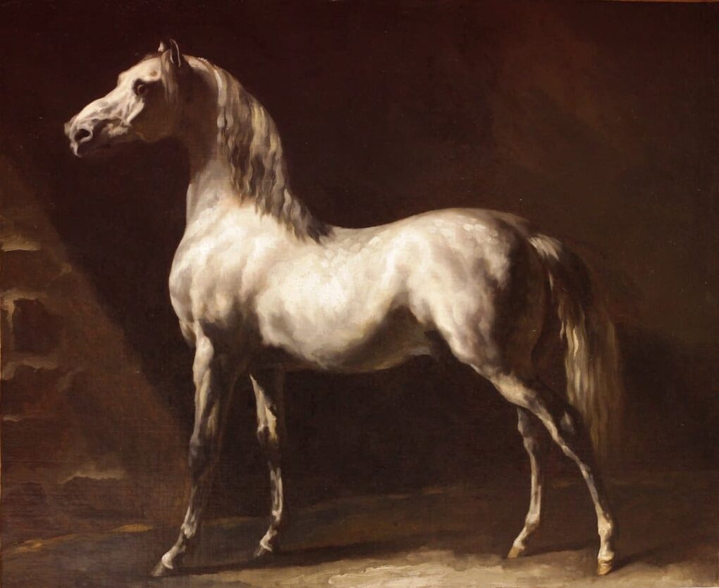 Cheval gris - Théodore Géricault - Reproductions de tableaux et peintures haut de gamme