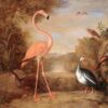 Différents types d'oiseaux (avec un flamant rose) - Tobias Stranover - Reproductions de tableaux et peintures haut de gamme