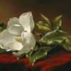 Magnolia Grandiflora - Martin Johnson Heade - Reproductions de tableaux et peintures haut de gamme