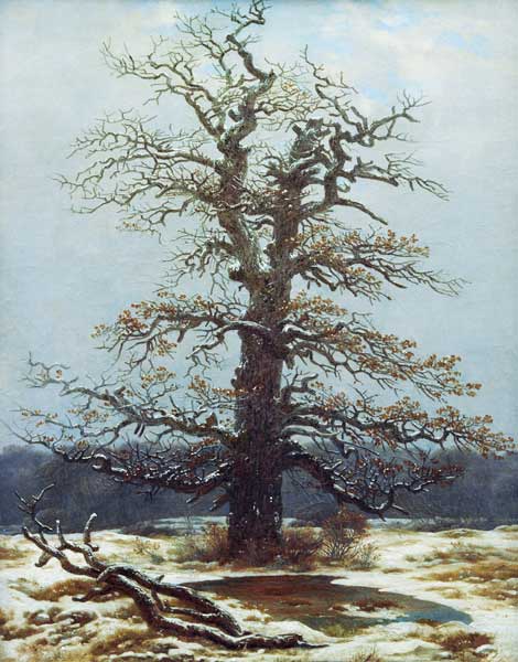 Oak in the Snow - Caspar David Friedrich