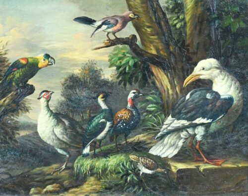 Paysage avec faisans, perroquet et divers oiseaux - Tobias Stranover - Reproductions de tableaux et peintures haut de gamme