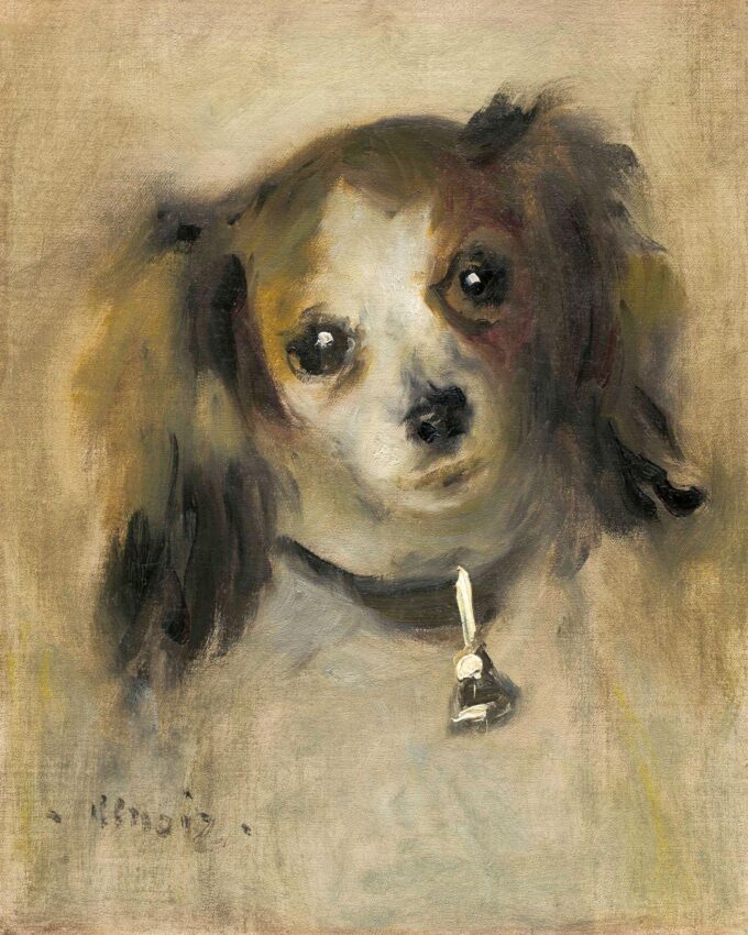 Dog's Head - Pierre-Auguste Renoir