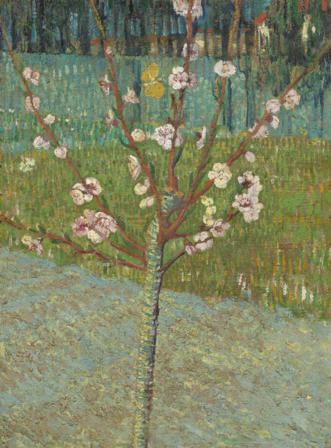 Almond Blossoms - Van Gogh