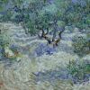 Olivenhain - Van Gogh - Reproductions de tableaux et peintures haut de gamme