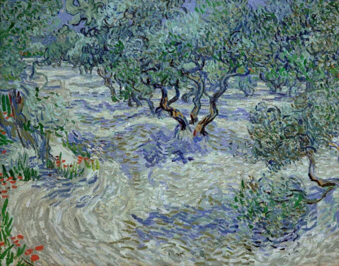 Olivenhain - Van Gogh - Reproductions de tableaux et peintures haut de gamme