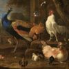 Volaille - Melchior d'Hondecoeter - Reproductions de tableaux et peintures haut de gamme