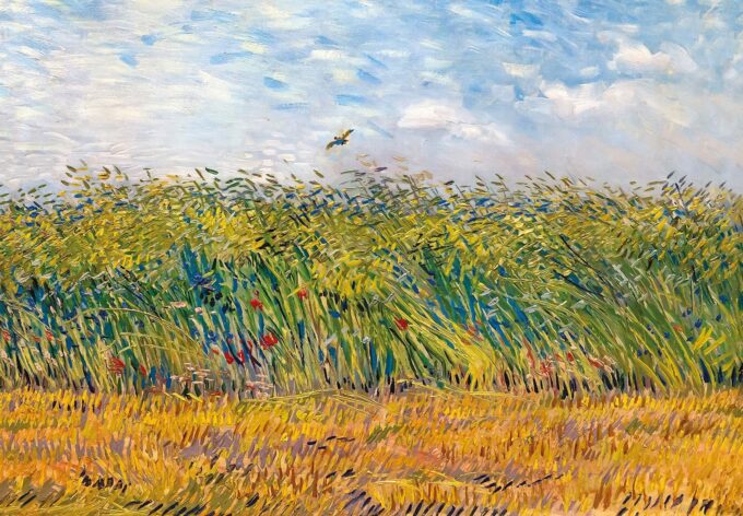 Wheatfield with Larks - Van Gogh