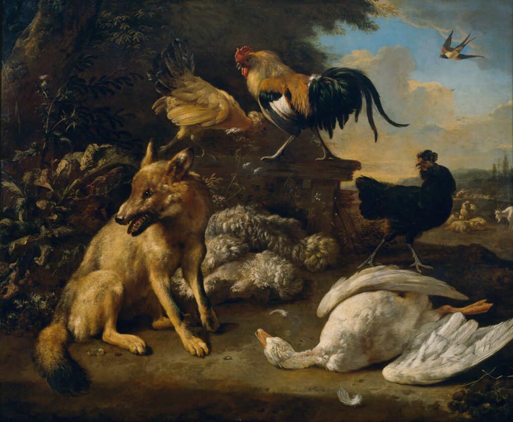 Nature morte avec des animaux - Melchior d'Hondecoeter - Reproductions de tableaux et peintures haut de gamme