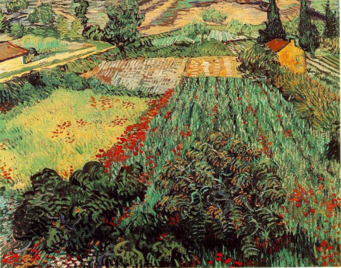 Fields of Poppies - Van Gogh