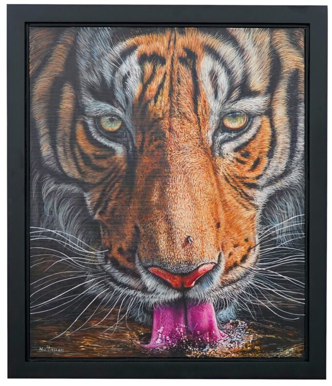 Tiger drinking water - 50 X 60 cm