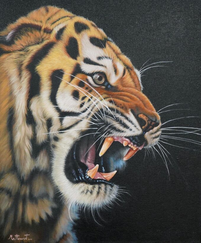 Raging Tiger - 50 x 60 cm