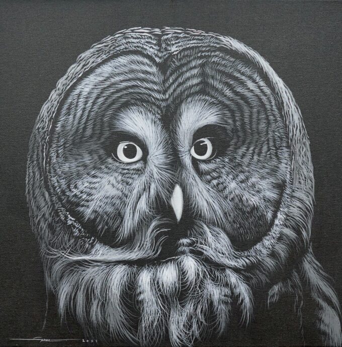 Owl in the Night - 40 X 40 cm