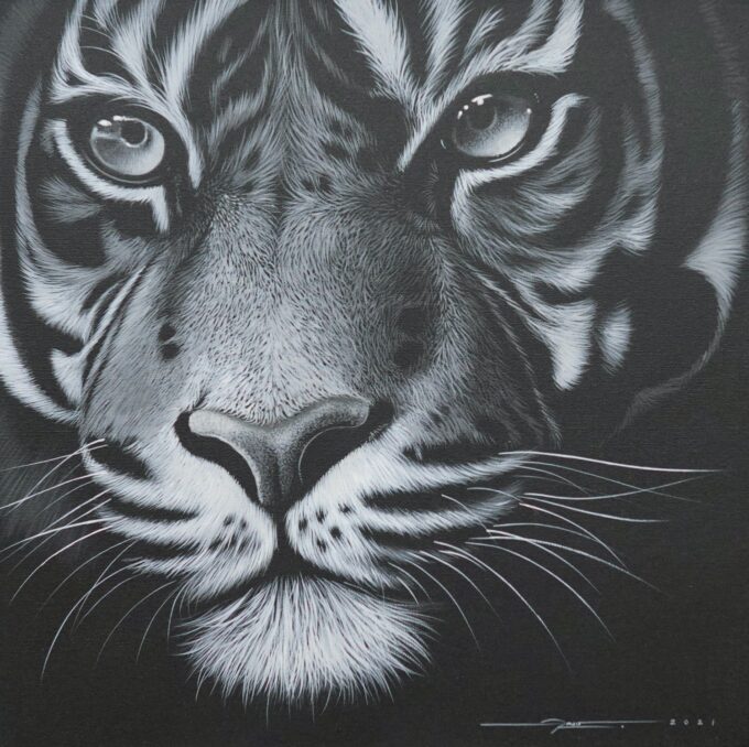 Tiger in the night - 40 X 40 cm