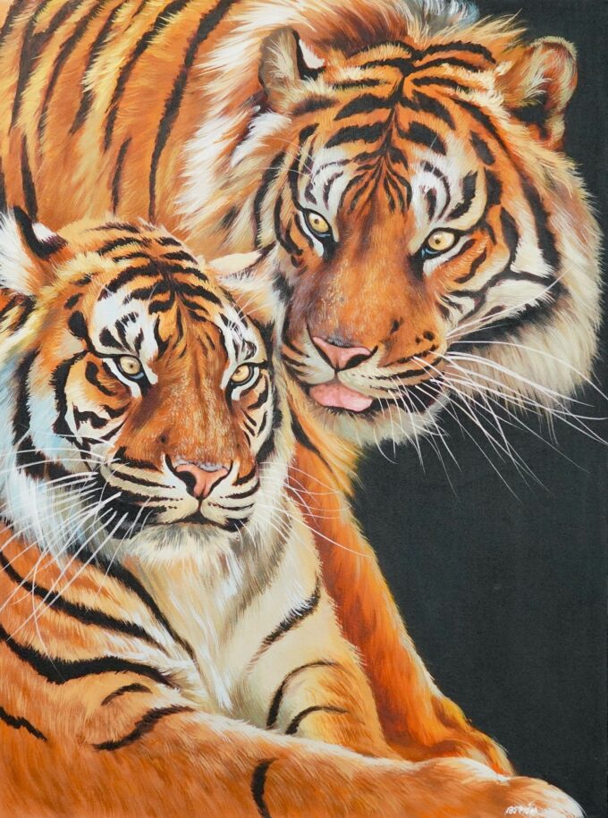 Pair of Tigers - 60 X 80 cm