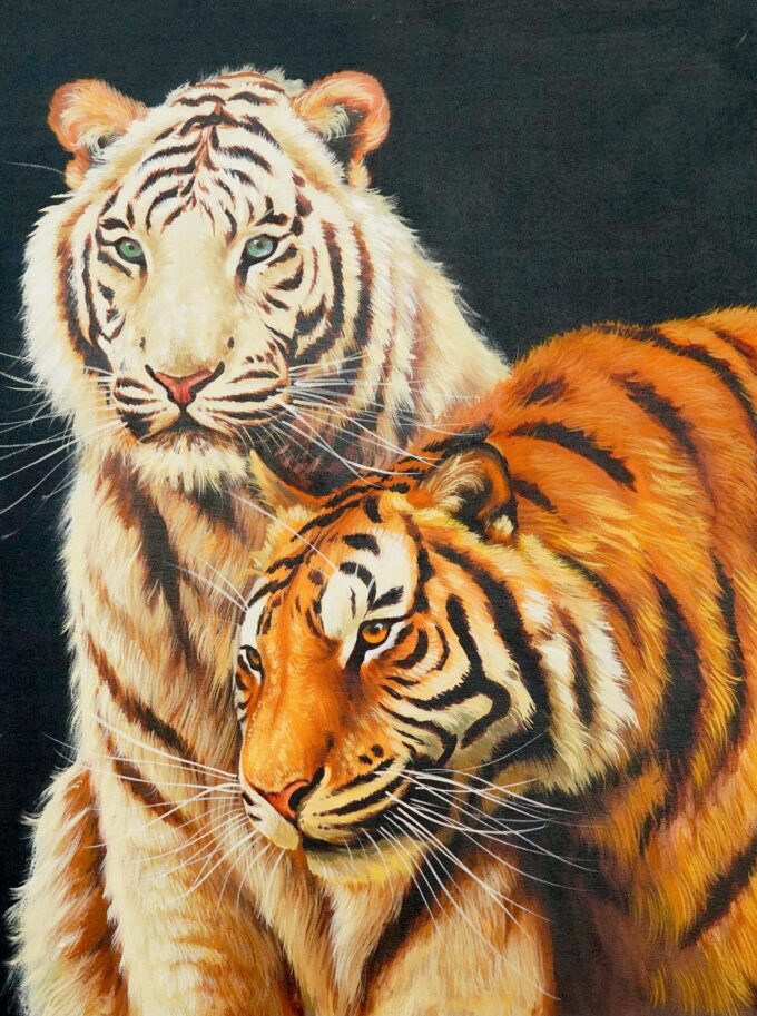 White Tiger Couple - 60 X 80 cm