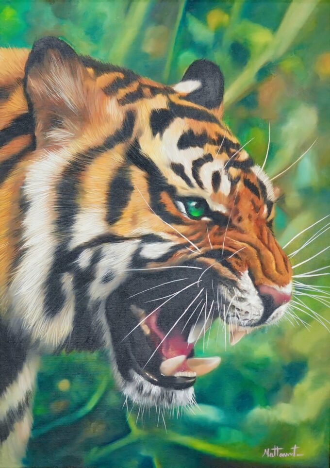 The Rage of the Tiger II - 50 x 70 cm