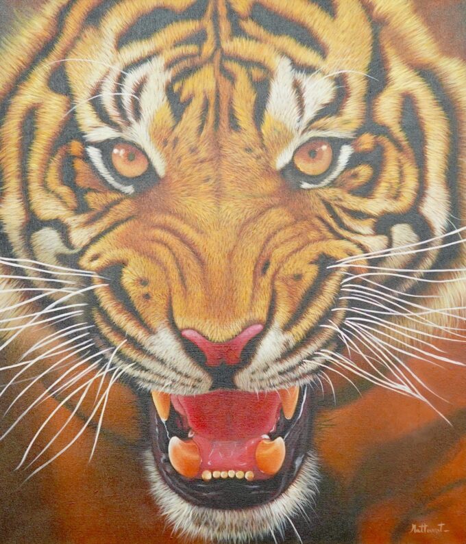 The strength of the tiger - 95 x 105 cm