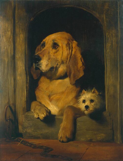 Dignité et impudence - Edwin Landseer - Reproductions de tableaux et peintures haut de gamme