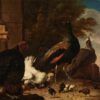 Une poule avec des paons et une dinde, vers 1680 - Melchior d'Hondecoeter - Reproductions de tableaux et peintures haut de gamme