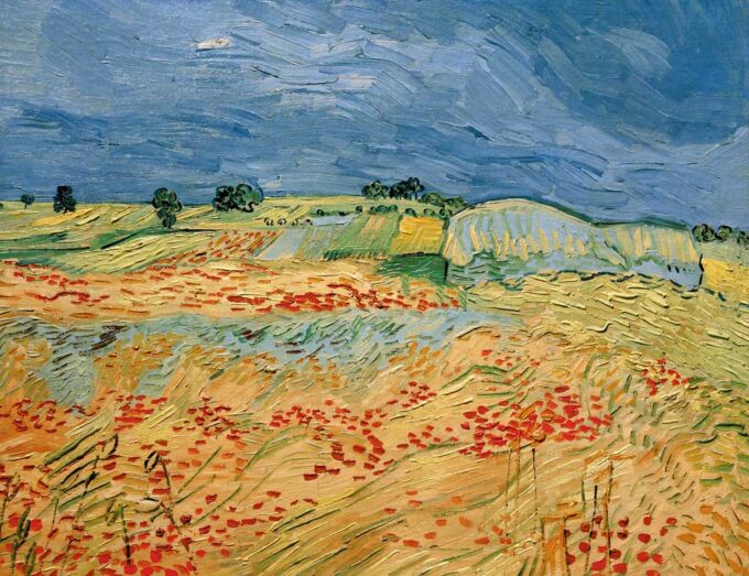 Fields of blooming poppies - Van Gogh