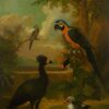 Aras et autres oiseaux dans un paysage - Tobias Stranover - Reproductions de tableaux et peintures haut de gamme