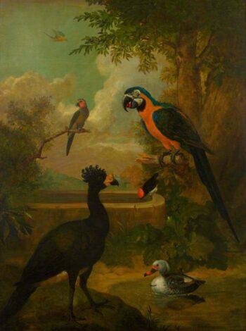 Aras et autres oiseaux dans un paysage - Tobias Stranover - Reproductions de tableaux et peintures haut de gamme