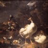 Oies et canards - Melchior d'Hondecoeter - Reproductions de tableaux et peintures haut de gamme