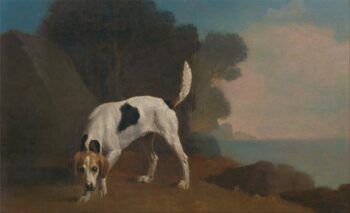 Foxhound - George Stubbs - Reproductions de tableaux et peintures haut de gamme