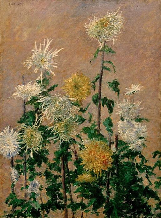 White and Yellow Chrysanthemums - Caillebotte