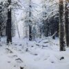 Hiver - Ivan Shishkin - Reproductions de tableaux et peintures haut de gamme